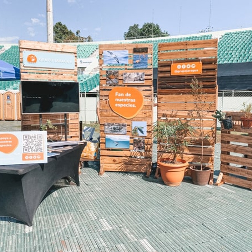 Exhibidores y Displays